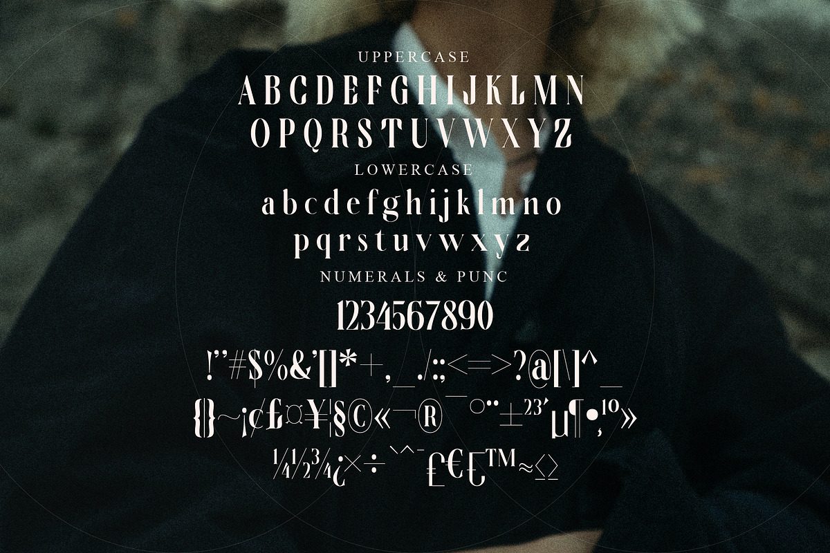 Wingfead Modern Serif Font, a Serif Font by Storytype Studio (Photo 13 of 15)