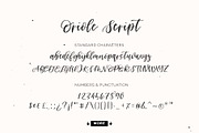 Oriole Script Font, a Script Font by The Pigeon Letters (Thumbnail 3 of 14)