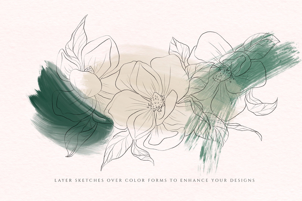 Modern Magnolia Floral Illustrations, an Illustration by Fire Spark Studio (Photo 8 of 9)