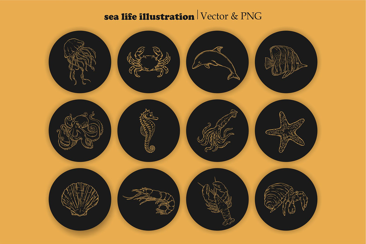 Sea Life - SVG, Vector , & PNG, an Illustration by Ben studio (Photo 2 of 4)