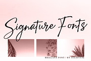 Brillany - Handwritten Font, a Script Font by Solidtype (Thumbnail 5 of 6)
