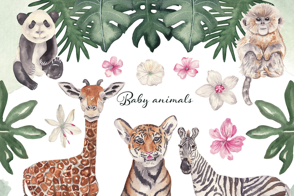 Baby animals - watercolor set, an Animal Illustration by Visual Animal (Photo 1 of 11)