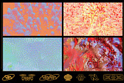 Coral Textures, a Texture Graphic by Kapoor Design Empire (Thumbnail 8 of 8)