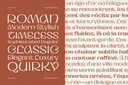 Romns Font Family, a Sans Serif Font by Aiyari (Thumbnail 7 of 13)