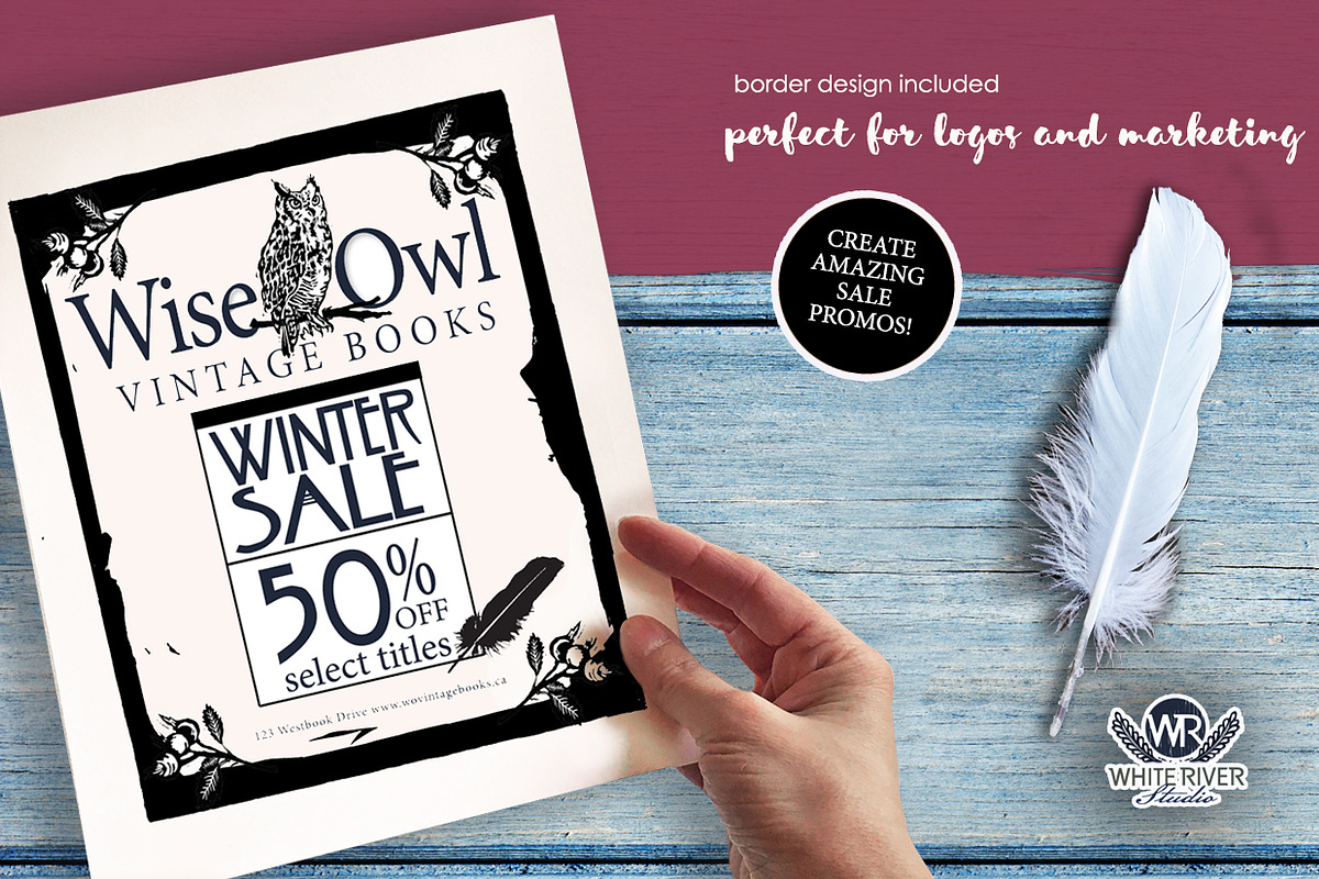 Feathered Friends Linocuts, an Illustration by WhiteRiverStudio (Photo 3 of 10)
