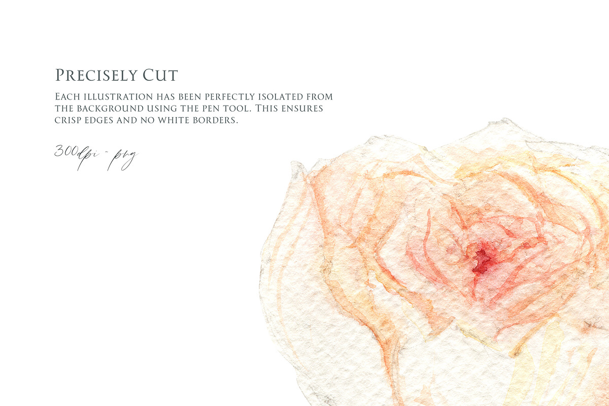 Watercolor Floral Clipart Set, an Object Graphic by NiKO (Photo 3 of 4)