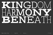 Faraon, a Slab Serif Font by Latinotype (Thumbnail 14 of 15)