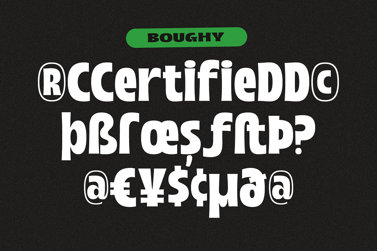Boughy - Font Family |9 Fonts, a Serif Font by Craft Supply Co. (Photo 11 of 13)