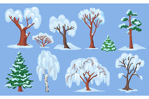 Cartoon snowy trees. Winter spruce, an Illustration by Stock-Smart-Start