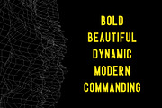 Badger - Sans Serif Typeface, a Sans Serif Font by HipFonts (Thumbnail 2 of 8)