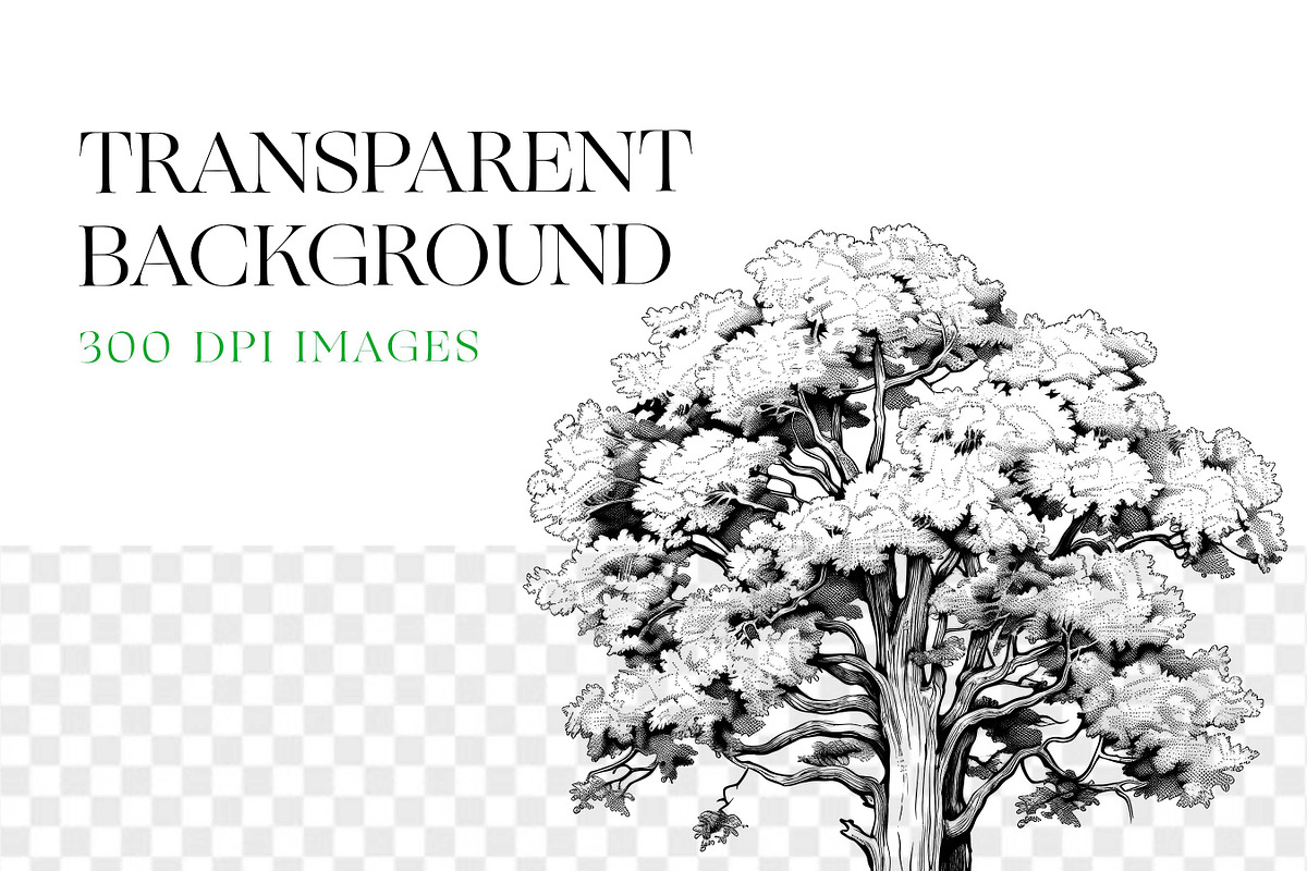 Tree Silhouette Clipart, Bonsai Tree, an Illustration by BrushstrokeArtGB (Photo 8 of 10)