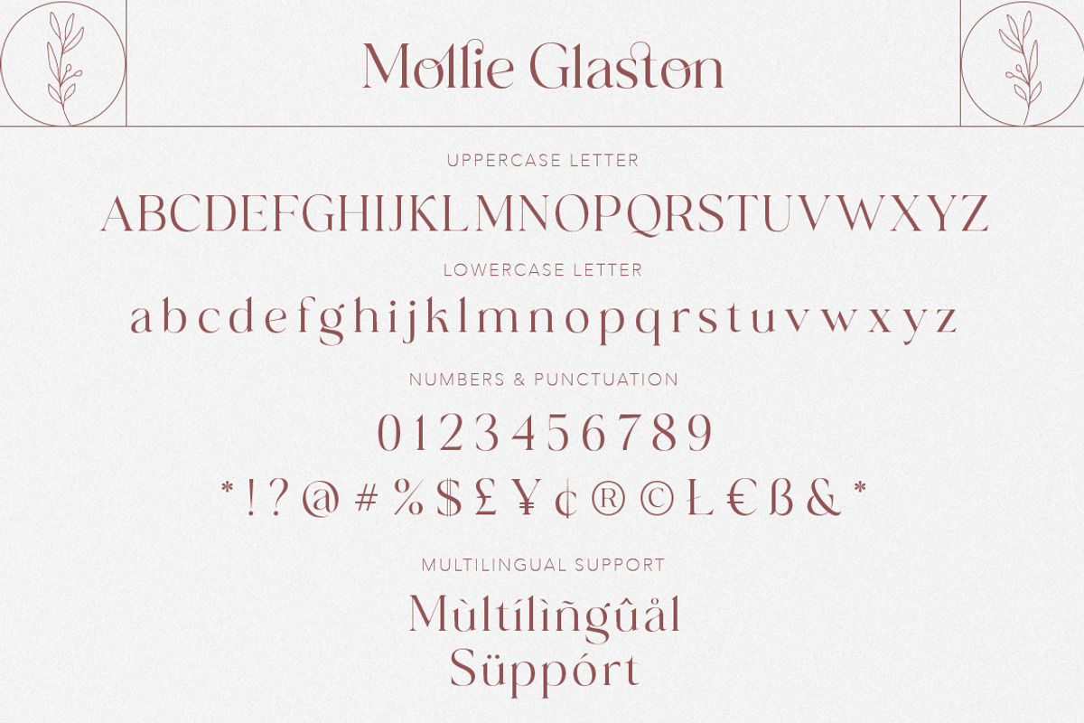 Mollie Glaston-Modern Ligature Serif, a Serif Font by Mulkan Nazir (Photo 13 of 14)