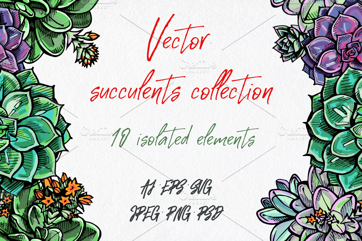 Vector succulents collection, an Illustration by AV Design (Photo 1 of 7)