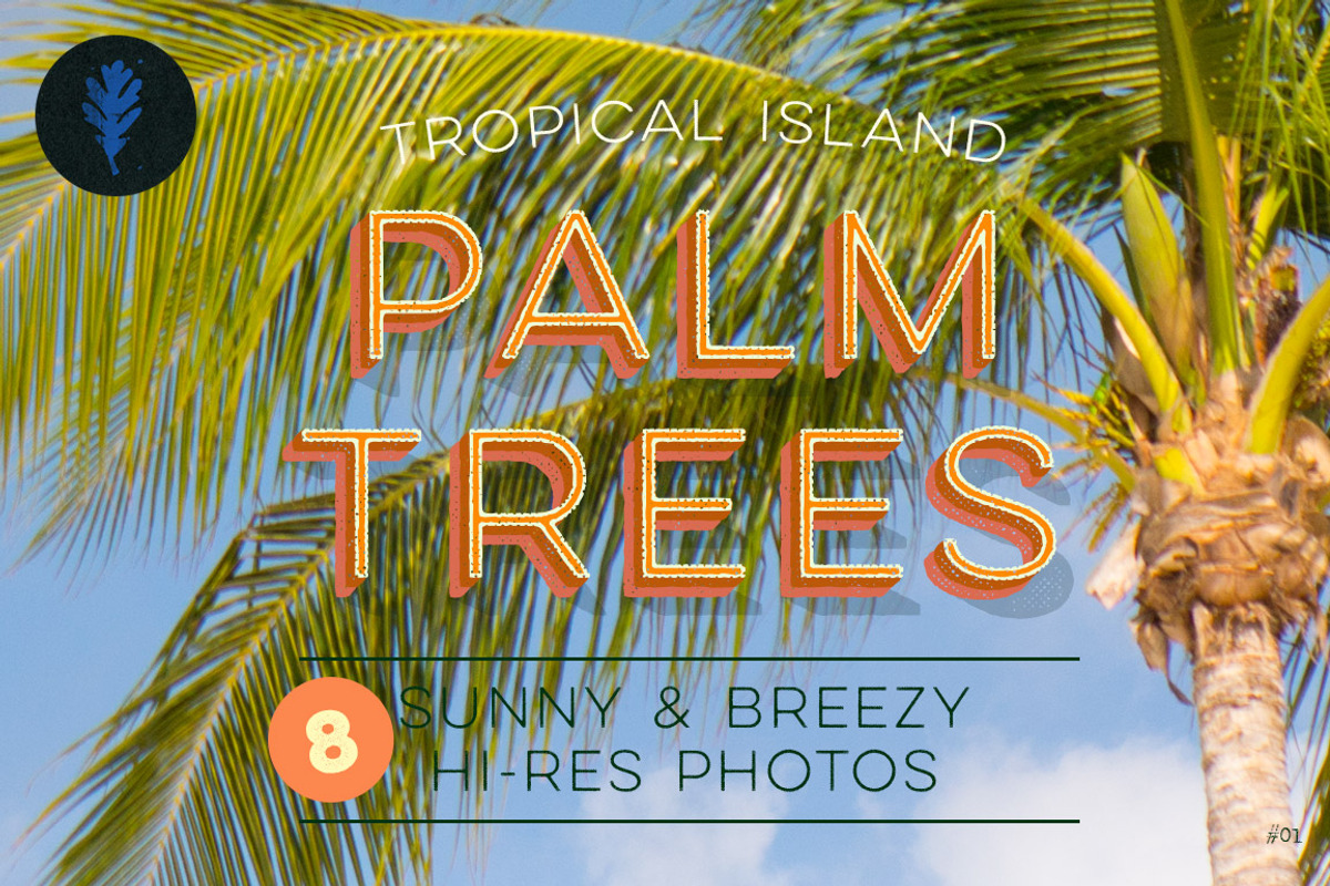 Photo Suite:  Palm Trees, a Templates & Theme by Jenny Hansen Suites (Photo 1 of 2)
