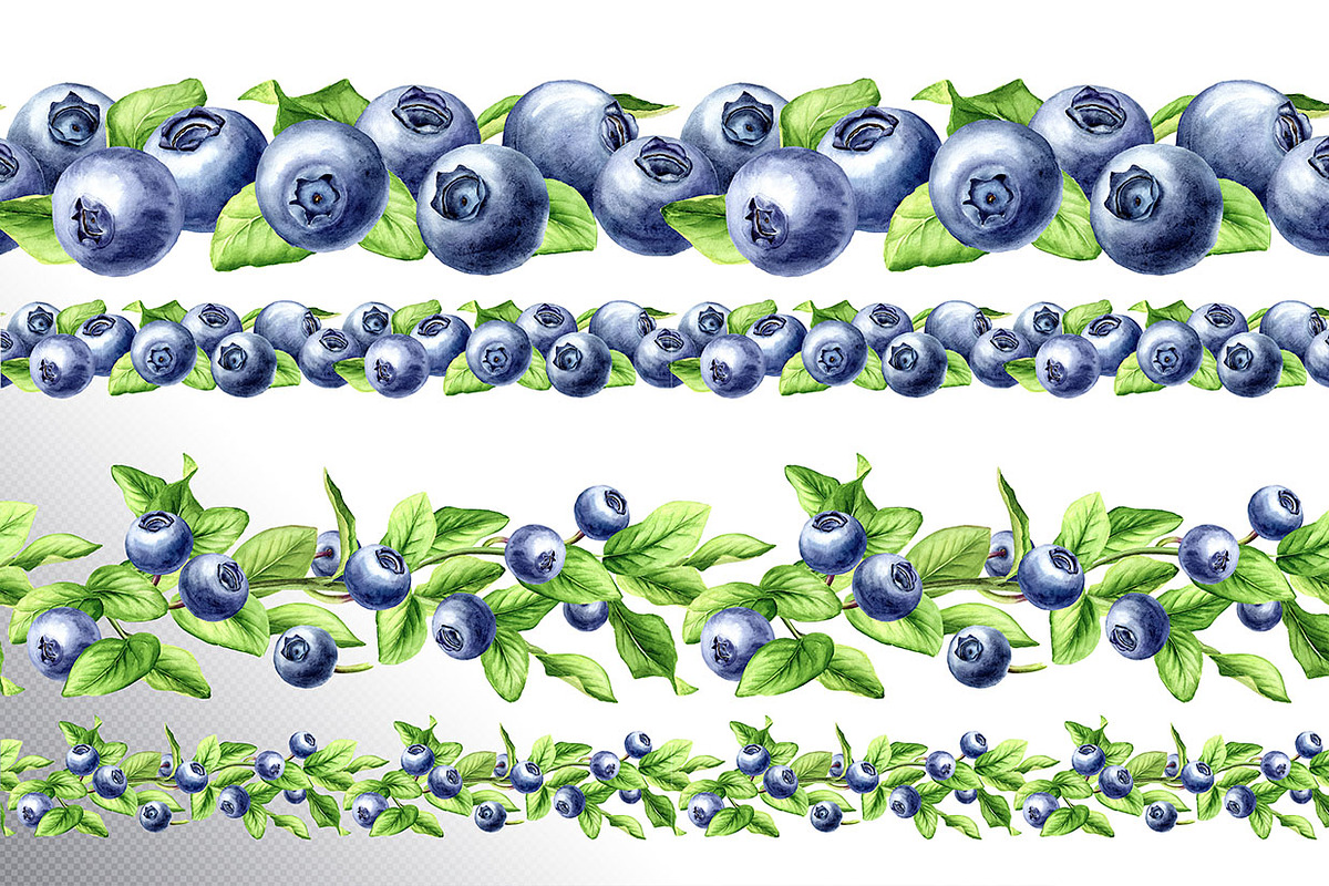 Blueberry. Watercolor collection, a Food Illustration by Daria Ustiugova (Photo 21 of 25)