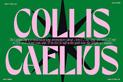 TAN - SALTERS, a Font by TanType (Thumbnail 8 of 14)