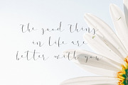 Catties, a Script Font by vuuuds (Thumbnail 2 of 5)