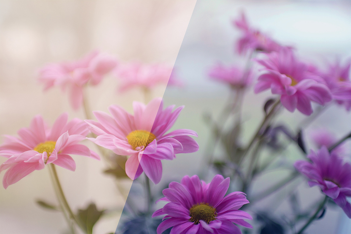 Spring Photoshop Actions, an Action Add-On by Bato (Photo 11 of 16)