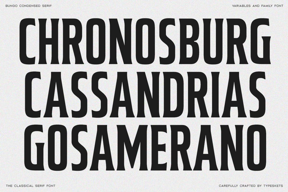 Bungo - Variable Condensed Font, a Font by Typeskets (Photo 6 of 11)