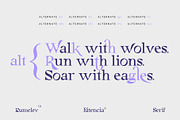 Eitencia, a Serif Font by Damelev (Thumbnail 8 of 12)