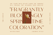 Mikea Rough, a Sans Serif Font by Craft Supply Co. (Thumbnail 3 of 8)