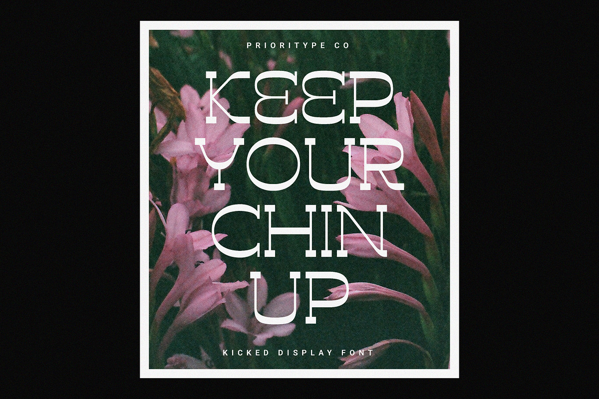 Kicked Display, a Slab Serif Font by Prioritype Co (Photo 9 of 10)