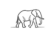 Elephant Vector Elements Bundle, an Animal Illustration by balal (Thumbnail 8 of 10)