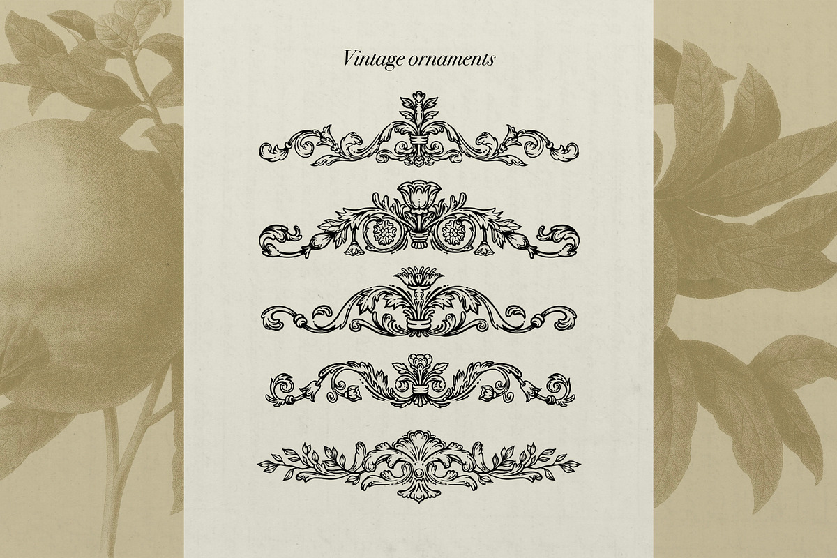 OrnamentalGarden  Frames&Ornaments, a Decorative Illustration by heyXeni (Photo 3 of 11)