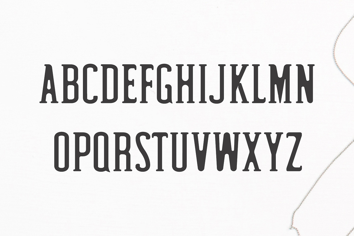 Hyman Rounded Serif Font Family preview 2