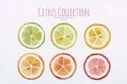 Citrus Collection, a Pattern Graphic by oKOLOstyle (Thumbnail 4 of 5)
