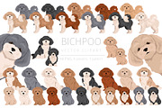 Bichpoo (Bichon Frise Poodle mix), an Animal Illustration by pet design shop (Thumbnail 1 of 6)