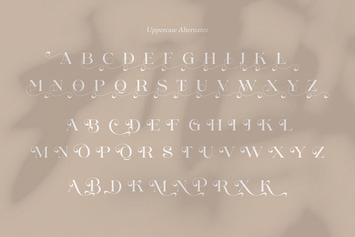 Cangkem || Elegant Display Serif, a Serif Font by BrandSemut (Photo 18 of 20)