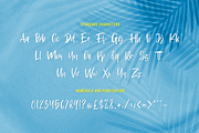 Southeast - Summer Font, a Handwritten Font by RockboyStd (Thumbnail 9 of 12)