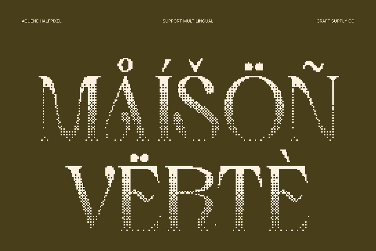 Aquene Halfpixel, a Serif Font by Craft Supply Co. (Photo 7 of 8)