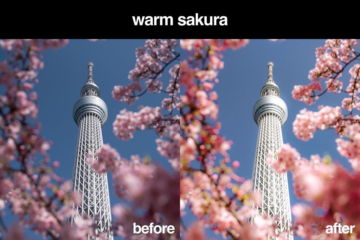 11 Japanese Lightroom Presets, a Preset Add-On by Gridfiti (Photo 2 of 12)