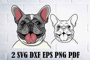 Boston terrier Svg, Bulldog svg