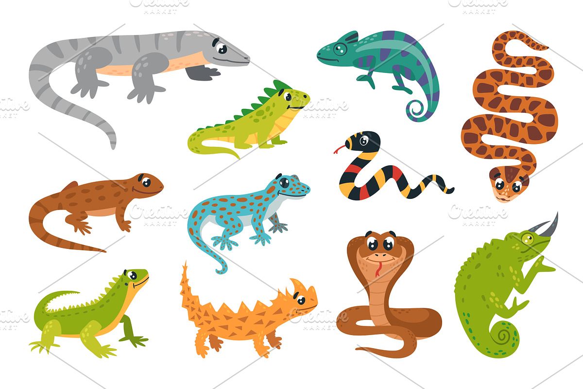 Cartoon amphibians reptiles. Exotic, an Animal Illustration by LadadikArt