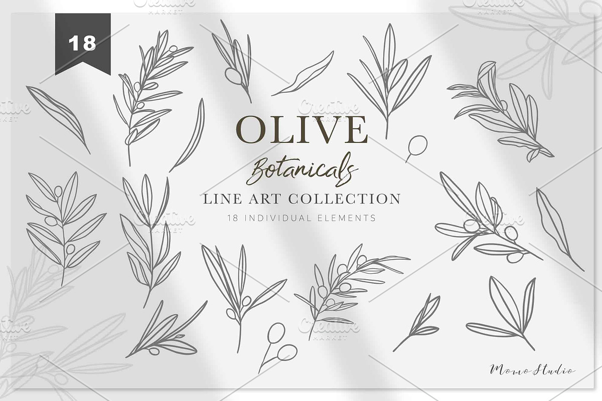 OLIVE BOTANICALS Watercolor & Line, a Work Illustration by Momo Studio (Photo 10 of 15)