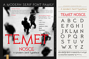 Temet Nosce - Serif font family, a Serif Font by Artistic & Unique (Thumbnail 6 of 15)