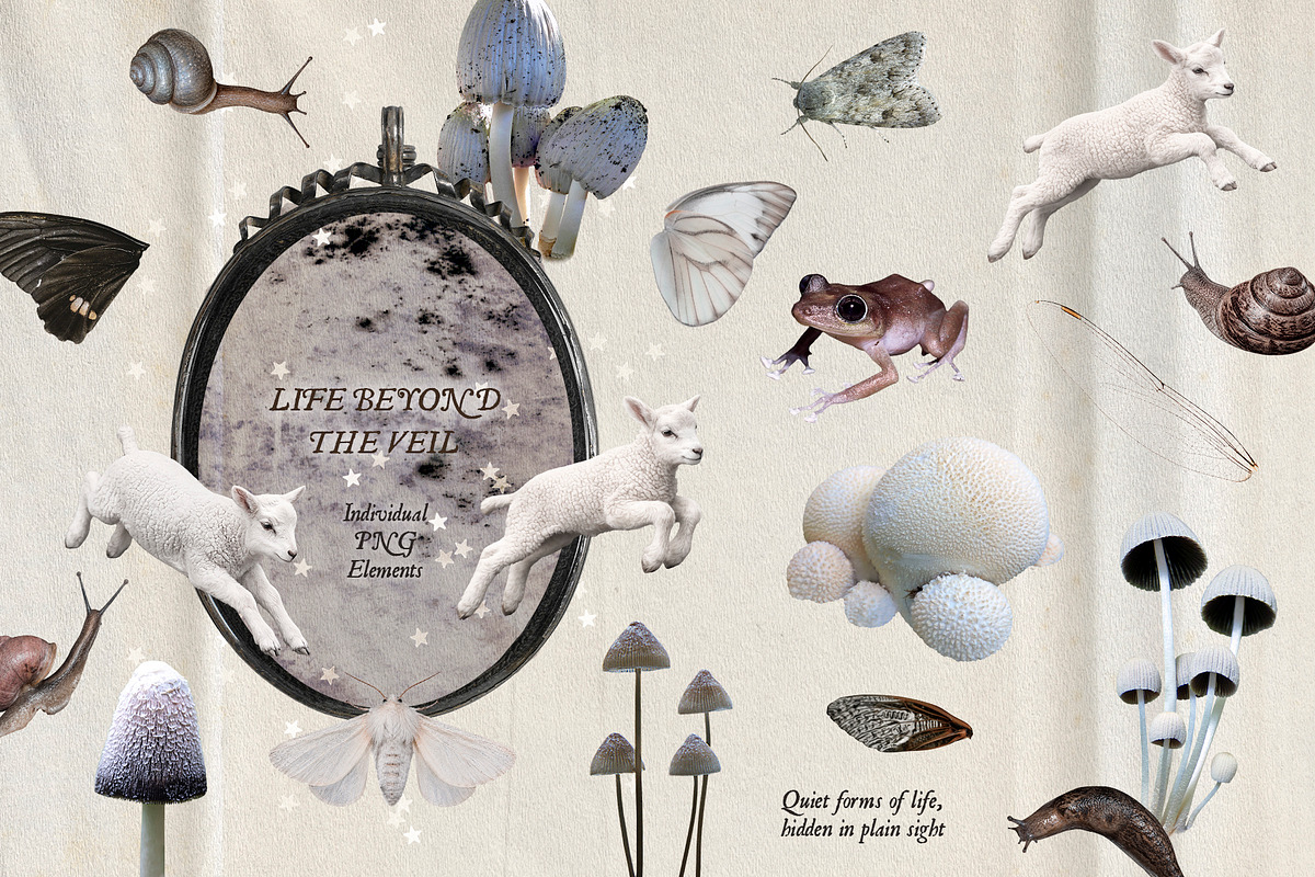 The Veil – Mystical Collage Kit, an Object Graphic by Eva Gentle (Photo 4 of 13)