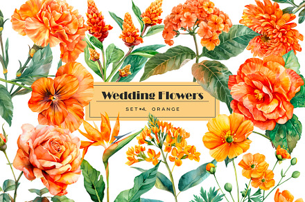 Watercolor orange flowers clipart
