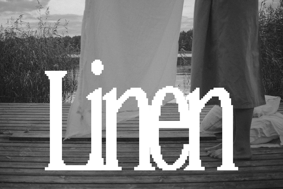 Spencer | A Pixelated Font, a Serif Font by Loryn Ipsum (Photo 9 of 10)