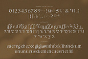 Ginger Bread, a Serif Font by ToniStudio (Thumbnail 7 of 10)