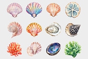 Watercolor Seashell Clipart, a Seasonal Illustration by Design Market (Thumbnail 2 of 5)