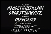 Deathless Natural Brush Font, a Script Font by Aldiwangsadipa (Thumbnail 3 of 10)