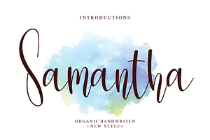 Bundles Script Font Collections