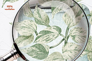 House Plants Watercolor Collection, an Object Graphic by BarvArt (Thumbnail 7 of 8)