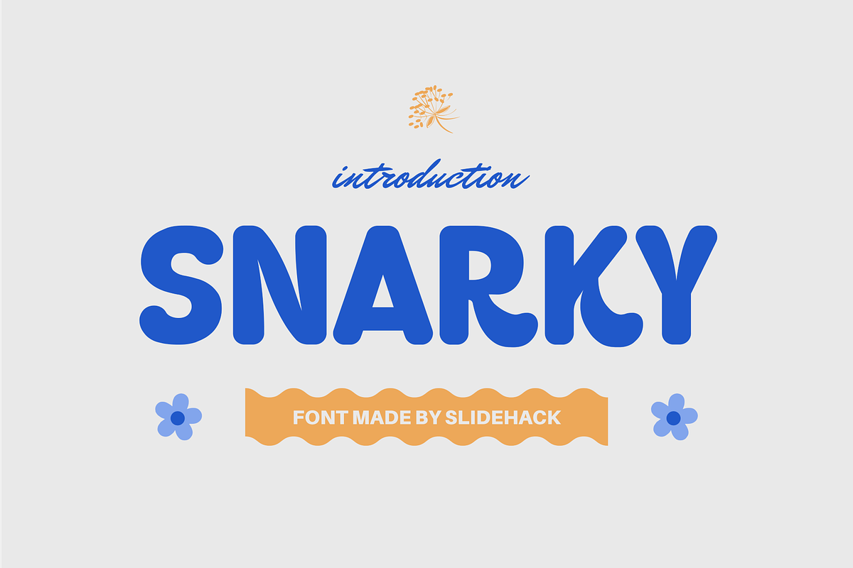 Snarky - Display Font, a Sans Serif Font by Studio Moara (Photo 1 of 8)