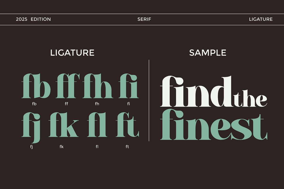 Baflen - Modern Serif Typeface, a Serif Font by MaikoHatta (Photo 4 of 8)