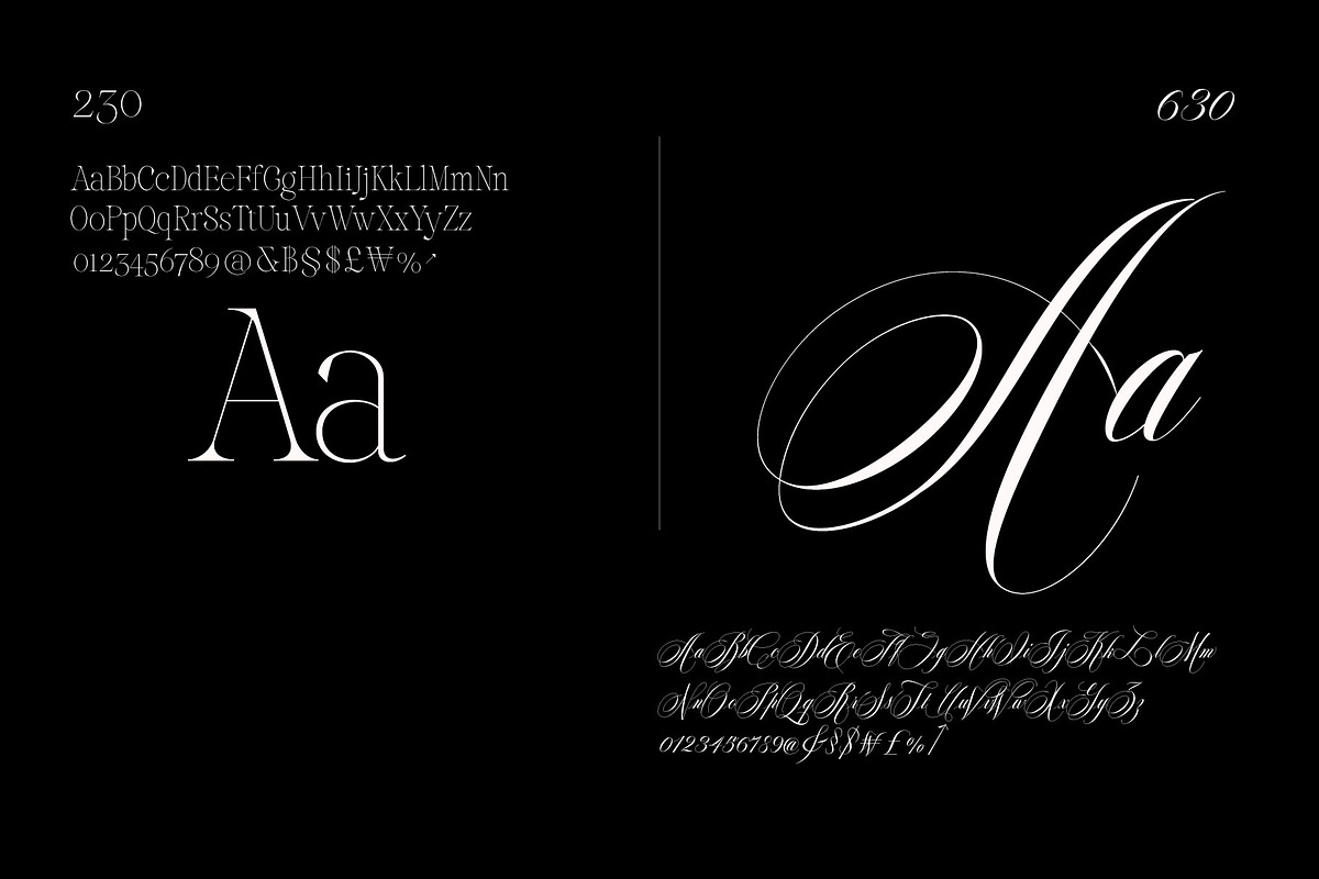 Reichamerina font family, a Serif Font by Ryul Davidson (Photo 12 of 27)
